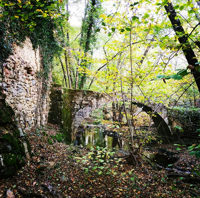 Ruine à Bagnols-en-Forêt © Eva Boquis 