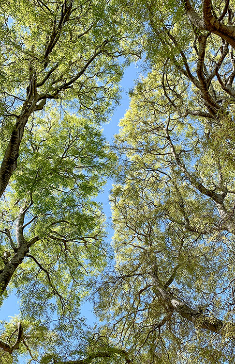 S’ouvrir à la Nature © Elise
