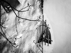 © Frédérique Ruby