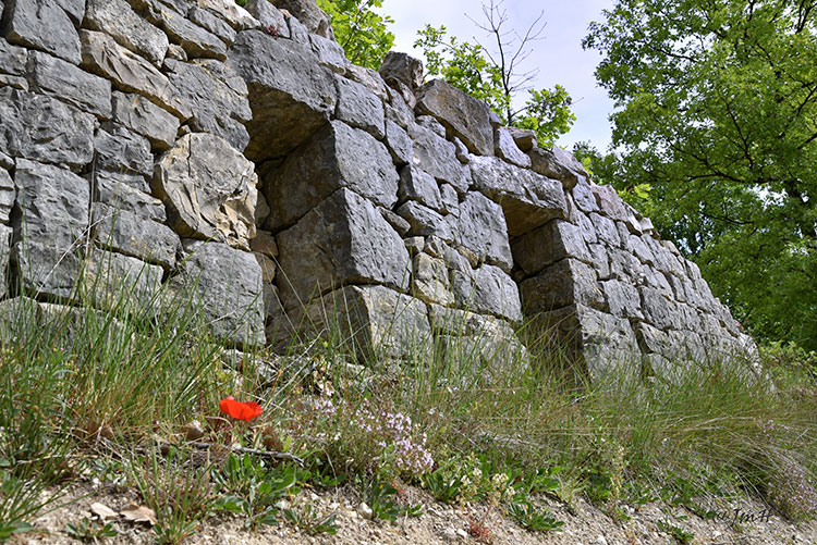 Mur apié - Fayence © JMH 