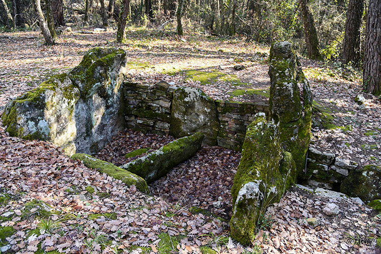 Dolmen de la verrerie vieille - Tourrettes © JMH 

