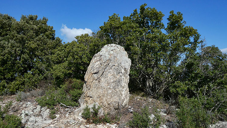 Menhir du Pra-Bourdin - Plan de la Tour © Pierre Demoutiez 