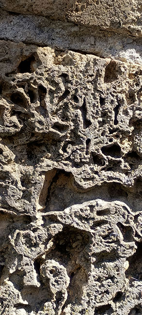 Dentelle de Tuf - Cotignac © 6ème D collège Carcès 