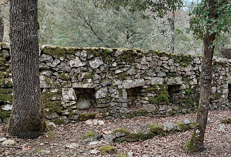 Mur d'apié - Gorges de Châteaudouble © Vivi 83 