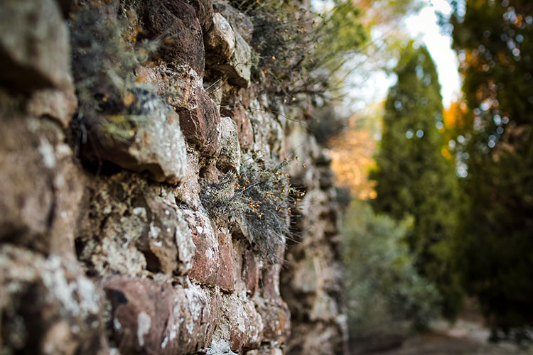 Mur au parc Aurélien - Fréjus © Olivier Ruis