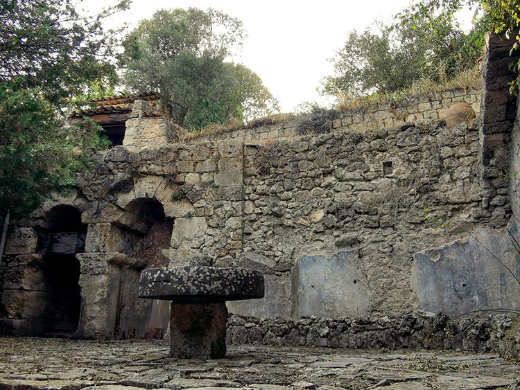 Ruine de moulin à huile - Salernes © Delphine Régnier