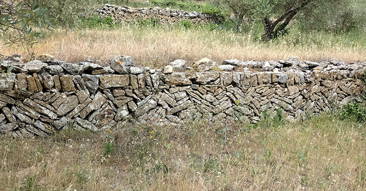 Restanque - La Cadière © JAF