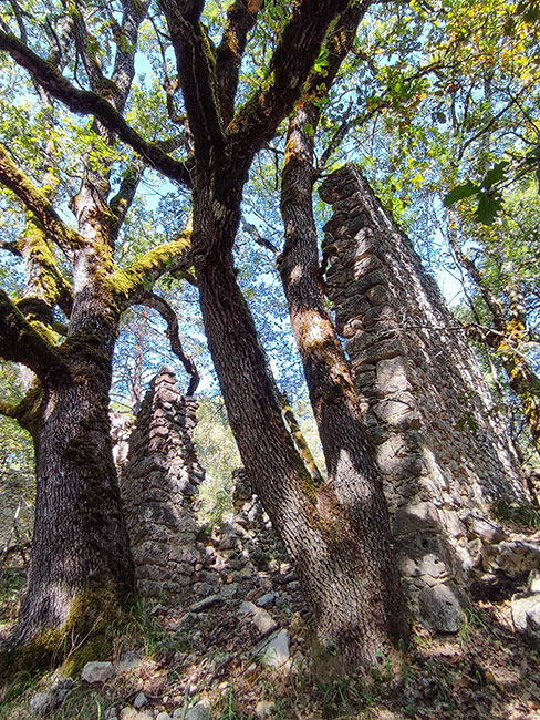 Ruines à Trigance © Elise 