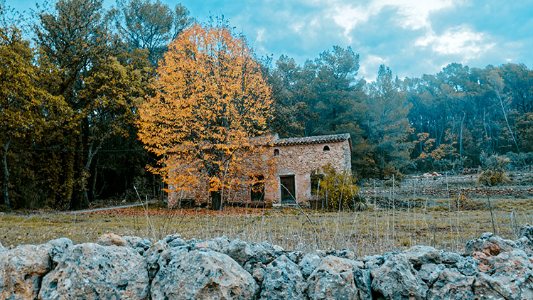 Bastide abandonnée, Route Lorgues Saint-Antonin-du-Var © Eric Gaduel 