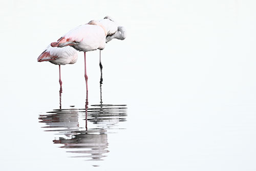 Ensemble c'est tout © Marie France Melly