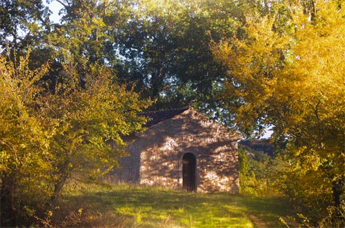 Ampus et la Nature   © Doriane Boilly