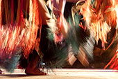 Danses de la Nouvelle Zélande © Norbert Pousseur