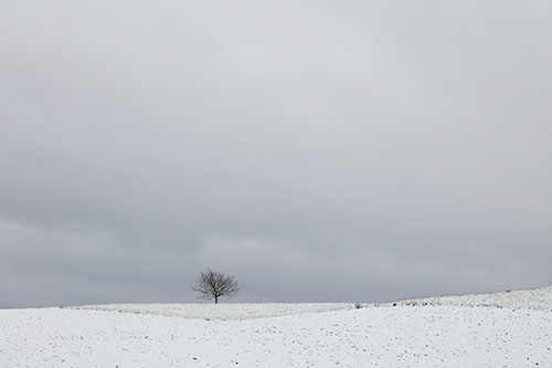 Au loin  © Norbert Pousseur