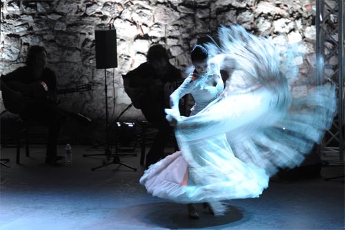 Flamenco - © Nathalie Sternalski